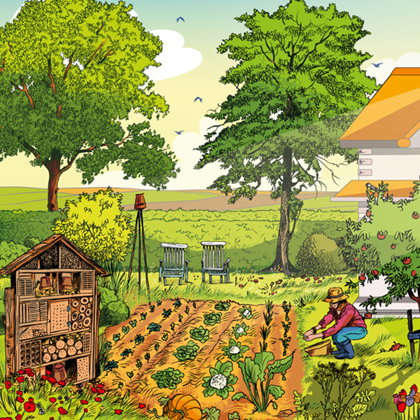 Les bonnes pratiques au jardin (Louvain-La-Neuve)